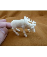 tb-elk-5 little white buck Elk Tagua NUT palm figurine Bali carving Moos... - £43.34 GBP