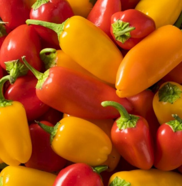 Hot Pepper Sante Fe Grande 5000 Scoville Units Non-Gmo 50 Seeds - $7.96