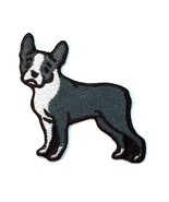 Boston Terrier Dog Patch Iron on No Name - $8.96 CAD