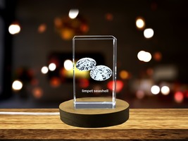 LED Base included | Exquisite Crystal Limpet Seashell Sculpture with - $25.99+
