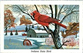 Cardinal or Red Bird the State Bird Indiana Postcard - £4.13 GBP