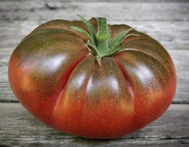 Fresh 50 Seeds Stutzman Black Tomato Heirloom Vegetable Tomatoe Edible G... - £6.40 GBP