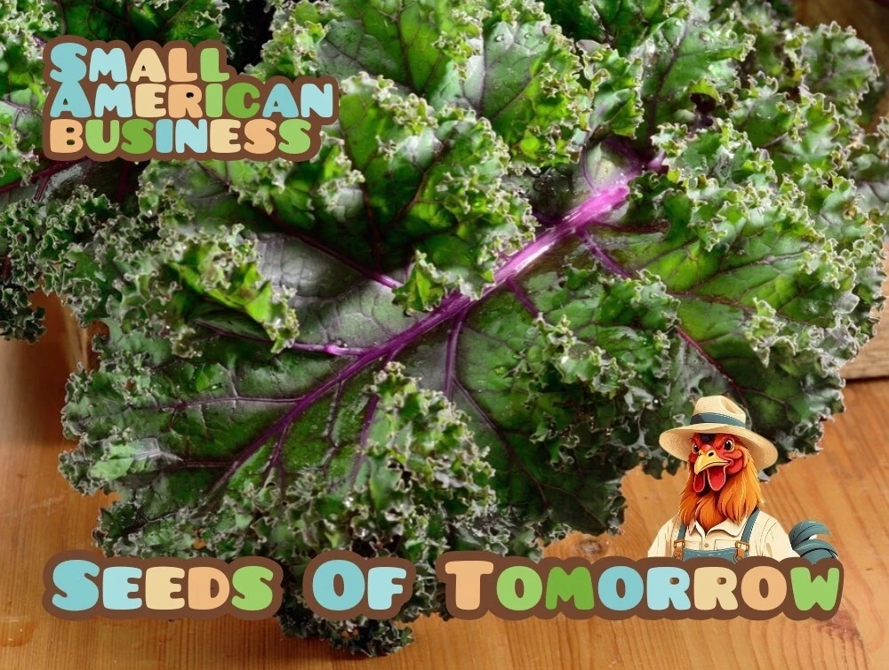 600 Organic Non-GMO Red Russian Kale Seeds- With Bonus! - $3.90