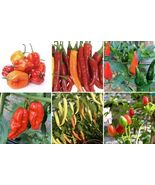 Mixed Chili Peppers - 50 Seeds  - $13.07 CAD