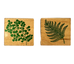 Hero Arts Poetic Prints Graceful Fern Silhouette 2 Rubber Stamps - $19.99