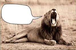Write-A-Funny Write Your Own Caption Gag Humor Lion Yawning Vintage Postcard - £7.51 GBP