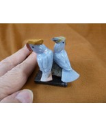 (Y-BIR-CO-404) pair of Cockatoos blue gray love bird gemstone STONE gem ... - $17.75