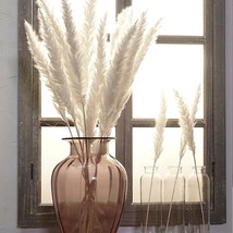 Reed dried flower home decoration - £9.43 GBP+