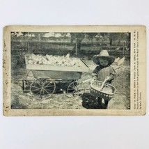 1910 Postcard LeRoy NY Frank C Edson&#39;s Poulrty Farm Little Girl Basket of Chicks - £7.33 GBP