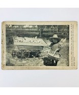 1910 Postcard LeRoy NY Frank C Edson&#39;s Poulrty Farm Little Girl Basket o... - $12.96 CAD