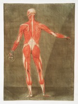 11344.Decor Poster.Home room Wall art.1750 Medical anatomy.Medical history.Body - £12.90 GBP+