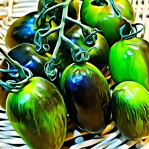 Brad&#39;S Atomic Grape Tomato Seeds Fresh Garden - £5.16 GBP