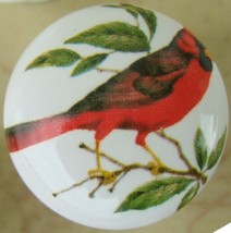 Ceramic Cabinet Knobs w/ Cardinal on branch #2 Bird domestic - $4.46