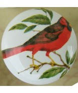 Ceramic Cabinet Knobs w/ Cardinal on branch #2 Bird domestic - £3.49 GBP