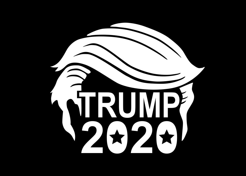 2x Trump 2020 Vinyl Decal Sticker Different colors & size for Cars/Bikes/Windows