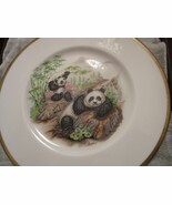 Marshall Boehm Collector Plate Panda Bear - Baby Bear Ii 10&quot; Nib  Orig P... - $60.00