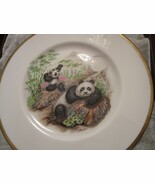 MARSHALL BOEHM COLLECTOR PLATE PANDA BEAR - BABY BEAR II 10&quot; NIB  origin... - £48.33 GBP