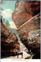 The Narrows Williams Canyon Colorado Postcard Posted 1908 - £24.12 GBP