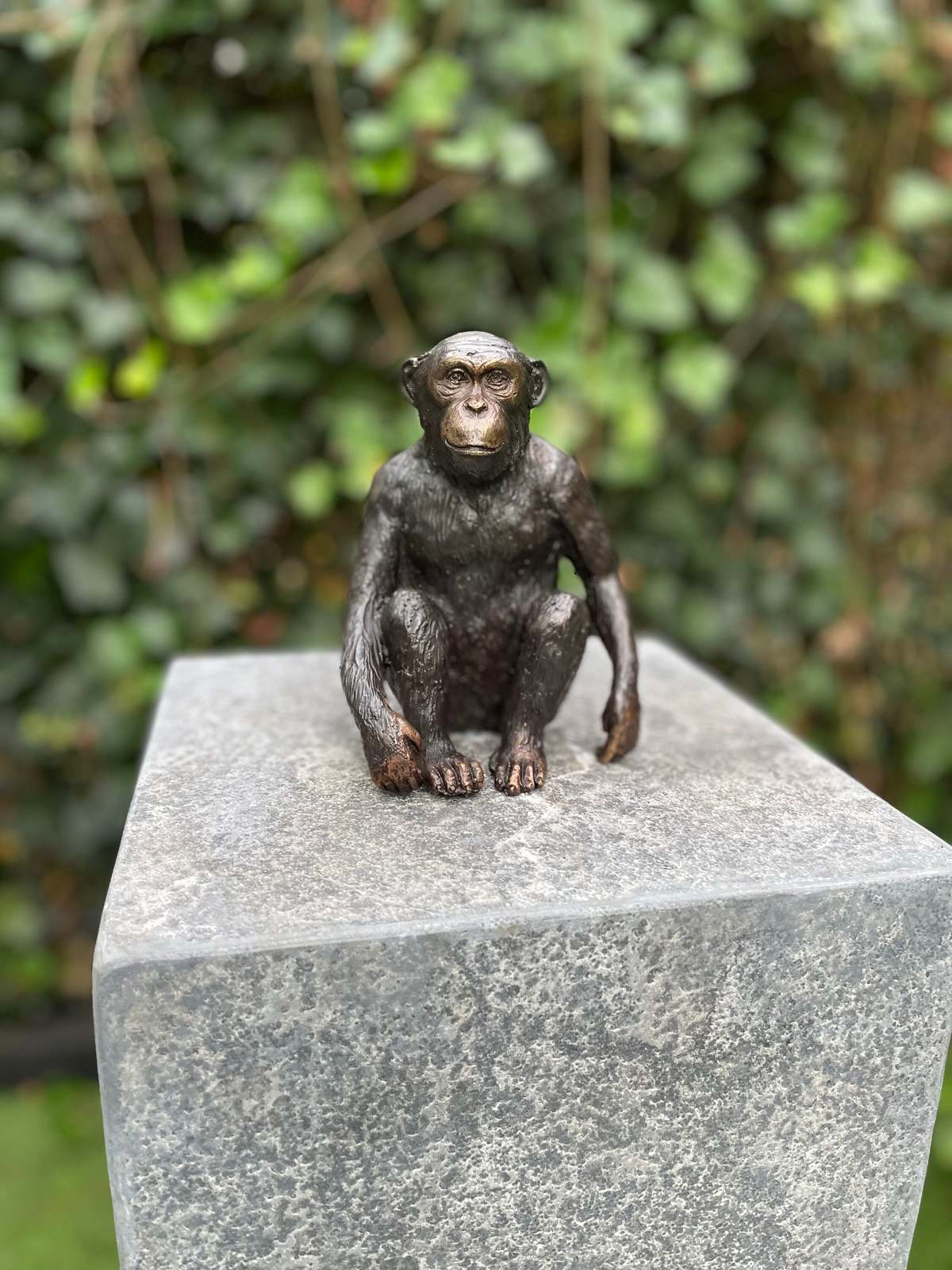 Thoughtful Monkey – Bronze Sculpture. 12x9x15cm - $139.95