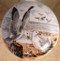 Cabinet Knobs Knob w/ Seagulls Seagull Sea Gull BIRD - £4.36 GBP