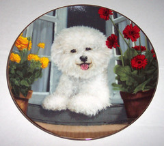 A Perfect View &quot;Poodle Dog&quot; Collectible Plate by Michele Amatrula #A8918 - £27.45 GBP