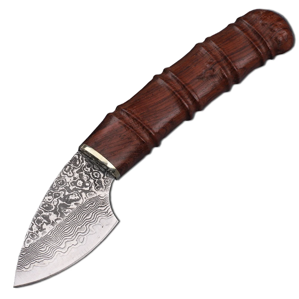 Barry Dalbergia + Bone Handle VG10 Steel Damascus Outdoor Climbing Chef ... - $855.30 MXN+