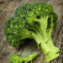 500 Waltham 29 Broccoli Seeds Fresh Fast Shipping - $3.36
