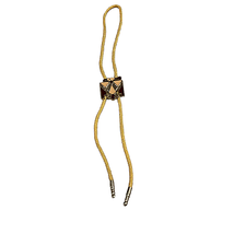 Vintage Mens Bolo Tie Yellow Rope With Aztec Native American Symbol Sout... - £47.76 GBP