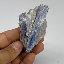 77.2g, 3&quot;x1.7&quot;x1.1&quot;, Rough Raw Blue Kyanite Chunk Mineral @Brazil, B32863 - £13.41 GBP