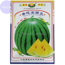 2 packs &#39;Jin Huabao&#39; Gift Yellow Watermelom, Original Pack, 70 Seeds, sweet 13%  - £6.75 GBP