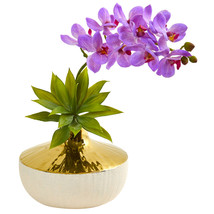 NEW Phalaenopsis Orchid And Agave Artificial Arrangement In Vase - $59.50