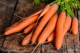 Carrot - Danvers, HEIRLOOM 300+ seeds 100% Organic, Non GMO, Grown in USA - $3.99