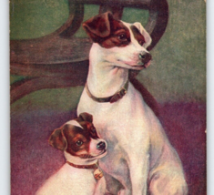 Jack Russell Terriers Father And Son Dogs Postcard Puppy Vintage Antique - $18.00