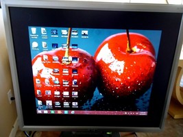 Acer AL1916 LCD 19&quot; PC Monitor - £49.32 GBP