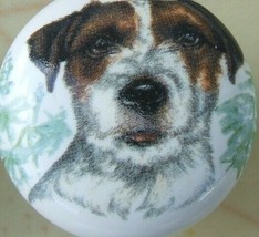 Cabinet Knobs w/ Jack Russell Terrier Rough Dog - £4.10 GBP