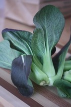 Bok Choy Purple Lady, 200 Seeds R - £12.22 GBP