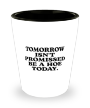 Funny Shot Glass Tomorrow Isnt Promissed SG  - £11.12 GBP