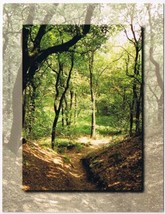 Postcard Sunshine Forest Road In Holland - £2.28 GBP