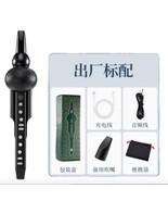 Electric cucurbit Flute Hulusi Chinese woodwind instrument Internal spea... - €172,86 EUR