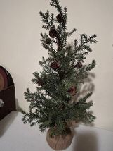 24-inch Small Pine Tree in Burlap Sack - SALE image 3