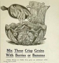 Antique 1901 Quaker Oats XL Advertisement Food Cereal Ephemera 12.5 x 5.5 - $378.90 MXN