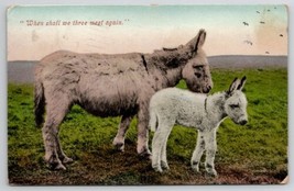 Donkeys When Shall We Three Meet Again 1905 Postcard M29 - $7.95