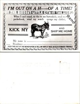 Nevada(NV) Reno Humor Comical Funny Kick My Ass &amp; Ship Me Home Vintage Postcard - £7.34 GBP