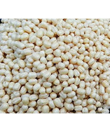 LKS Urad Gota White Matpe Bean Seeds 100 Organic Indian Cuisine Home Garden - $228.67 MXN