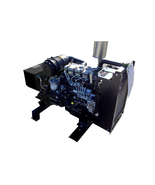 20 kw Perkins Diesel Generator 1 or 3 Phase DSE3110 2 wire auto start in... - $184,056.92 MXN