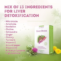 Liver Detox Dr. Viton - improves detoxification, maintain normal levels of fat - £28.13 GBP