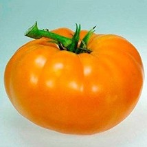 Fresh Garden Amana Orange Tomato, 30 Seeds, NON-GMO, Buy 2 Get 1 Free, Free Ship - $8.69