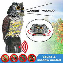 Realistic Owl Decoy Bird Scarer with Sound Rotating Head Owl Prowler Bird Repell - £25.92 GBP+