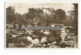 tq1171 - Lily Pond in Hock Garden inside Memorial Park, at Coventry - postcard - £1.99 GBP