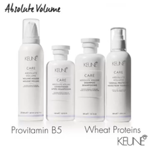 Keune Care Absolute Volume Shampoo, 10.1 Oz image 4